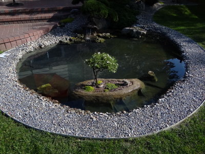 DSC06218_resize.JPG