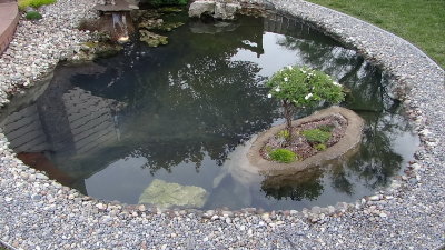 DSC06257_resize.JPG
