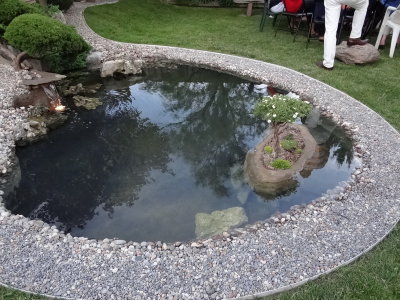 DSC06401_resize.JPG