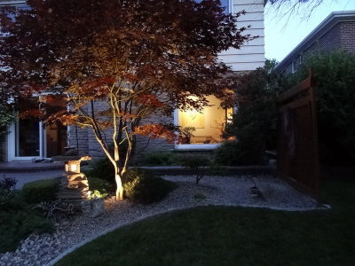 DSC06432_resize.JPG