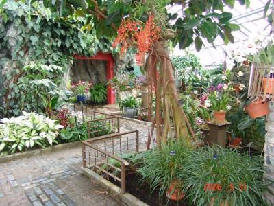 Montreal: Vườn Bách Thảo - Jardin Botanique