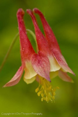 _MG_5452.jpg