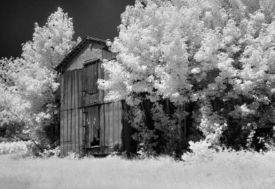 Black & White Infrared