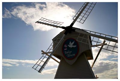 The Windmill