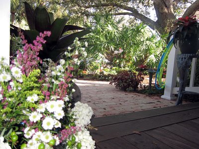 View from the porch