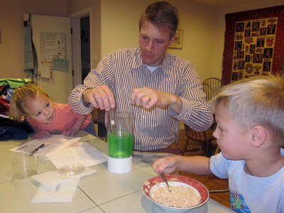 Adding ants to the ant habitat