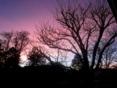 Brilliant sunset sky