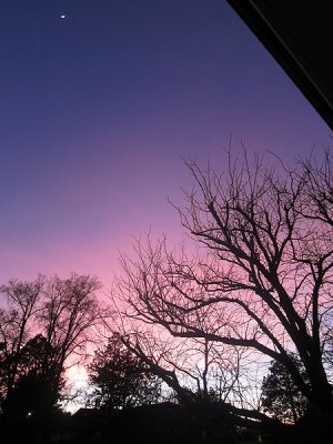 View from our front door