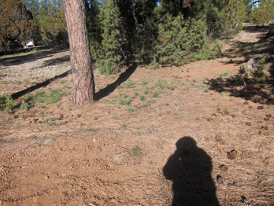 Simon photographs the site