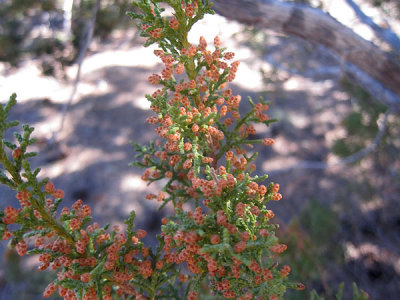 Simon's photo 4