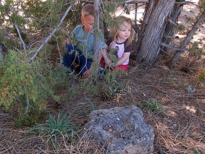 Plenty of good hiding spots