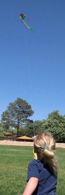 First-time kite flyer is doing pretty darn well