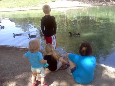 Day at the UNM duck pond