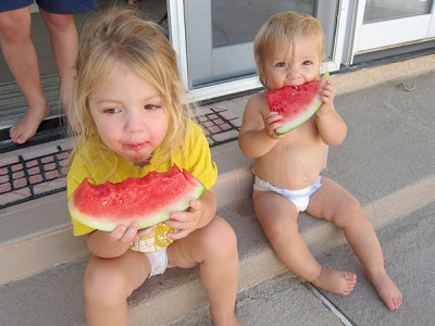 Annie LOVES watermelon and eats through the rinds if we dont stop her...