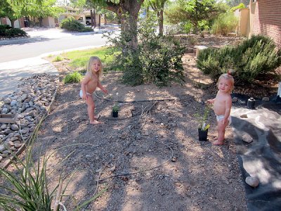 Girls help with a front yard project