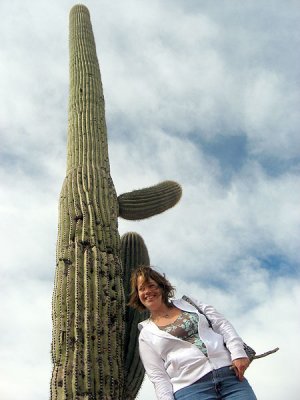 Pretty tall cactus