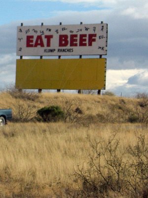 Outrageously sensible billboard