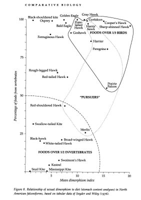 Falconry Species vs. Quarry Chart