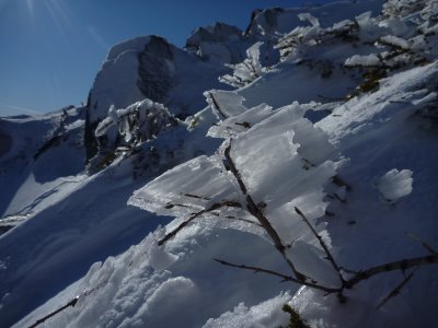 Blown Frost