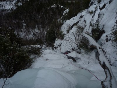 Top of Forest of Azure