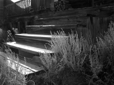 Old steps and fence
