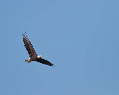 IMG_0280web.jpg