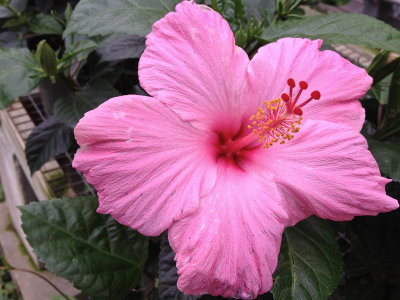 IMG_0648web.jpg