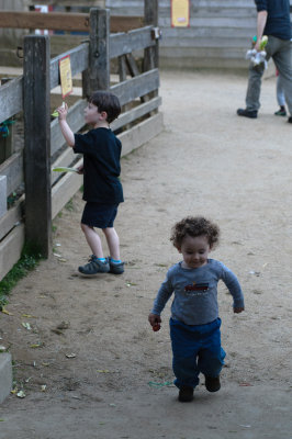 20110206-DSC_4390.jpg