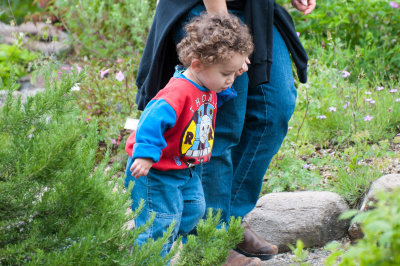 20110605-DSC_6550.jpg
