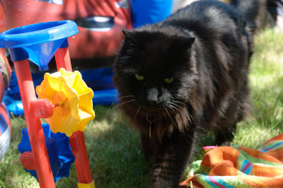 20110702-DSC_7232.jpg