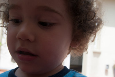 20120408-DSC_6282.jpg