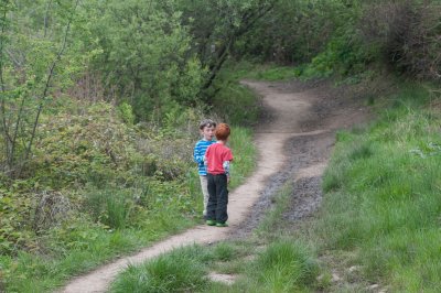 20120408-DSC_6426.jpg