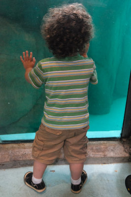 20120811-DSC_0193.jpg