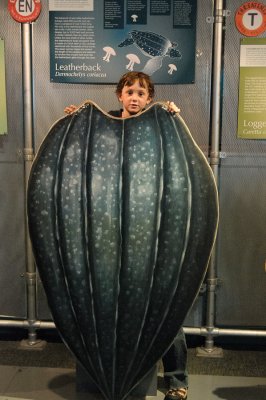 20120811-DSC_0238.jpg