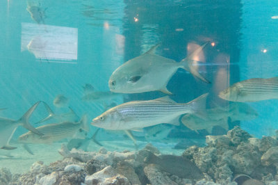 20120811-DSC_0255.jpg