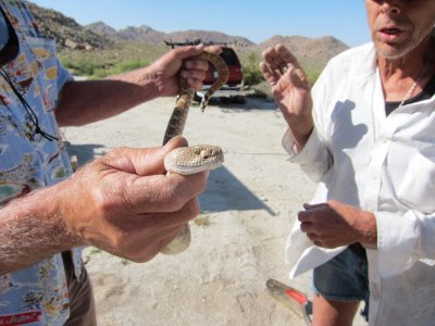 Released unharmed
