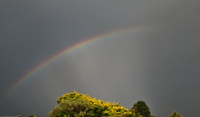 Fragmented rainbow by Dennis