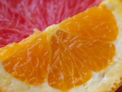 Orange and grapefruit - Geophoto