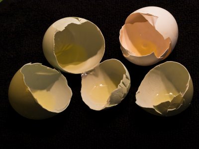 Egg Shell Quintet - Brad