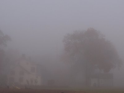 Just a little Fog -ArtP