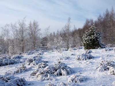 A winter atmosphere - Geophoto