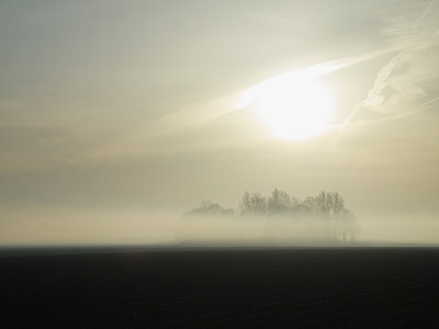 Morning fog - Geophoto