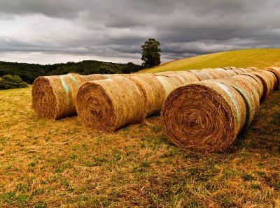 5th - Hay bales by Dennis