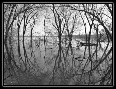 flood waters - brent