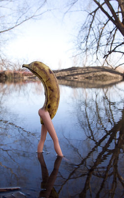 Banana Evolution Revelation by KimR
