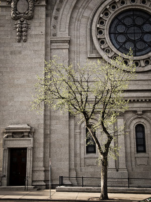 Spring at the Saint Paul Cathedral-Shirley