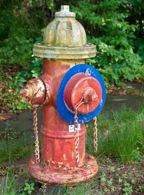Neighborhood Fire Hydrant - Brad