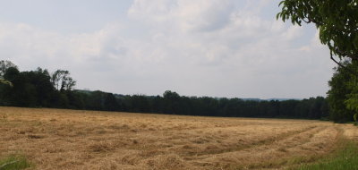 Hay time --Shirley A