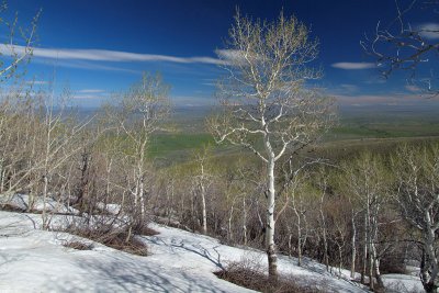 The Green Beneath and the Blue Above - raven15