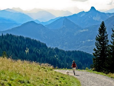Bavarian Mountain Road - Brad